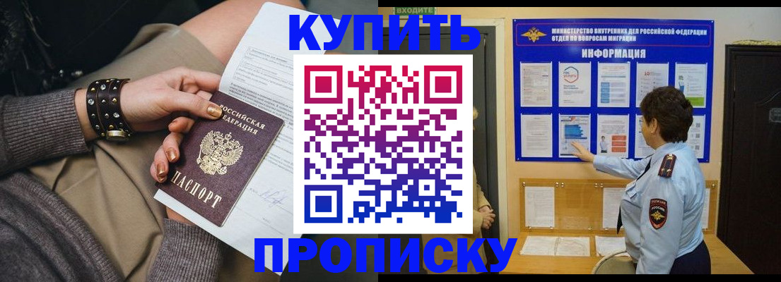 прописка в Вязьме